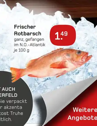 akzenta Frischer rotbarsch Angebot