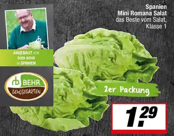 L. STROETMANN GROSSMARKT Spanien Mini Romana Salat Angebot