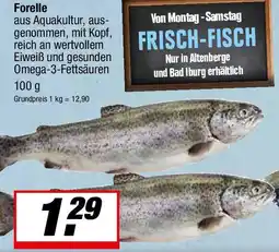 L. STROETMANN GROSSMARKT Forelle Angebot