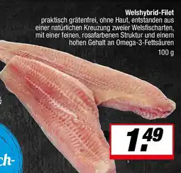 L. STROETMANN GROSSMARKT Welshybrid-Filet Angebot