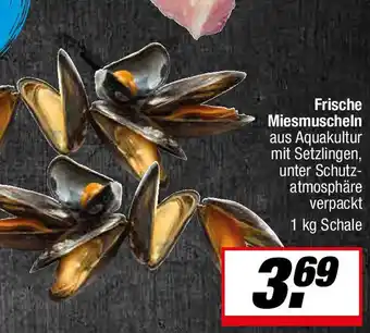 L. STROETMANN GROSSMARKT Frische Miesmuscheln Angebot