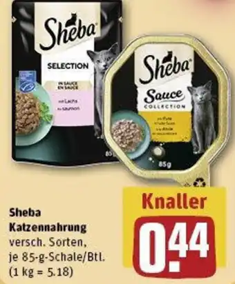 REWE Sheba Katzennahrung Angebot