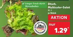 Kaufland Dtsch. Multicolor-Salat Angebot