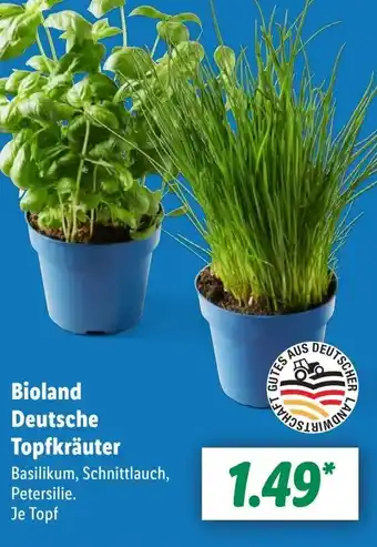 Lidl Bioland Deutsche Topfkräuter Angebot