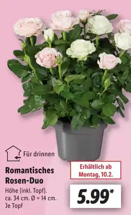 Lidl Romantisches Rosen-Duo Angebot