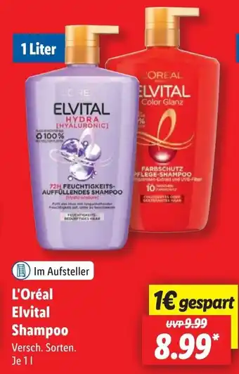 Lidl L'Oréal Elvital Shampoo Angebot