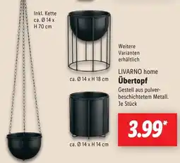 Lidl LIVARNO home Übertopf Angebot