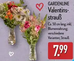 Aldi Nord GARDENLINE Valentins- strauß Angebot