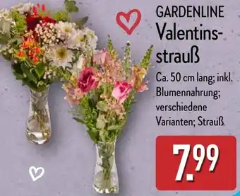 Aldi Nord GARDENLINE Valentins- strauß Angebot