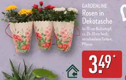 Aldi Nord GARDENLINE Rosen in Dekotasche Angebot