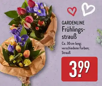 Aldi Nord GARDENLINE Frühlings- strauẞ Angebot