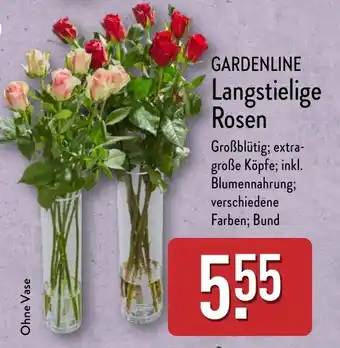 Aldi Nord GARDENLINE Langstielige Rosen Angebot