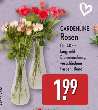 Aldi Nord GARDENLINE Rosen Angebot