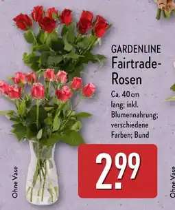 Aldi Nord GARDENLINE Fairtrade- Rosen Angebot