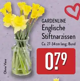 Aldi Nord GARDENLINE Englische Stiftnarzissen Angebot