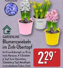 Aldi Nord GARDENLINE Blumenzwiebeln im Zink-Übertopf Angebot