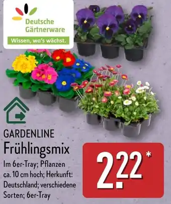 Aldi Nord GARDENLINE Frühlingsmix Angebot