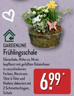 Aldi Nord GARDENLINE Frühlingsschale Angebot