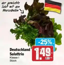 Hit Deutschland Salattrio Angebot