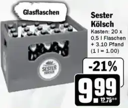 Hit Sester Kölsch Angebot