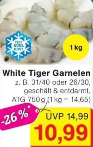 Jawoll White Tiger Garnelen Angebot