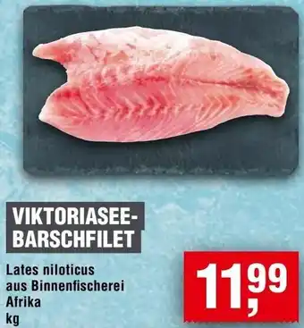 Handelshof Viktoriaseebarschfilet Angebot