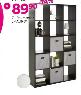 Mömax Raumteiler „mauro“ Angebot