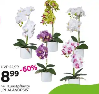 Mömax Kunstpflanze „phalänopsis“ Angebot