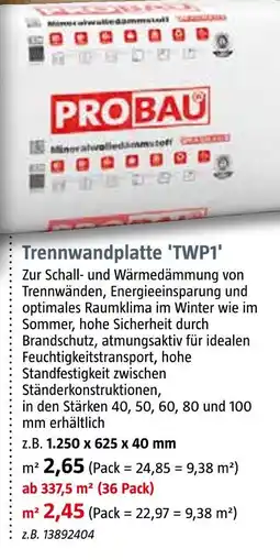 Bauhaus Trennwandplatte 'twp1' Angebot