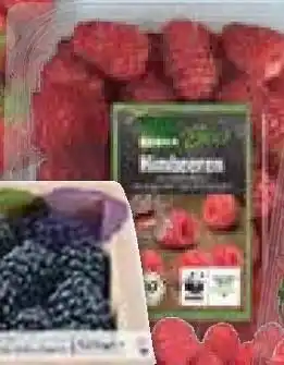 Marktkauf Edeka bio himbeeren Angebot