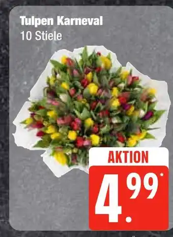 Edeka Tulpen karneval Angebot