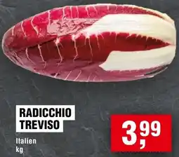 Handelshof Radicchio treviso Angebot