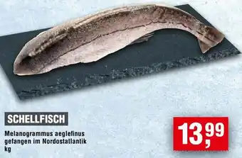 Handelshof Schellfisch Angebot