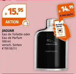 Müller Jaguar eau de toilette oder eau de parfum Angebot