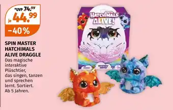 Müller Spin master hatchimals alive draggle Angebot