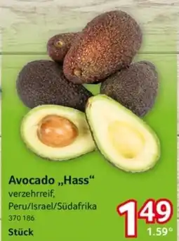 Selgros Avocado,,Hass" Angebot