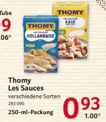 Selgros Thomy Les Sauces Angebot