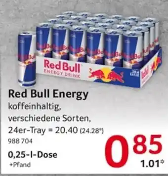 Selgros Red Bull Energy Angebot