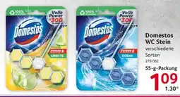 Selgros Domestos WC Stein Angebot