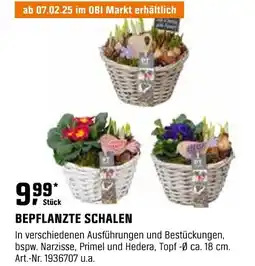 OBI BEPFLANZTE SCHALEN Angebot