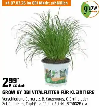 OBI GROW BY OBI VITALFUTTER FÜR KLEINTIERE Angebot