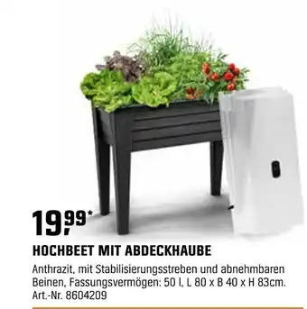 OBI HOCHBEET MIT ABDECKHAUBE Angebot