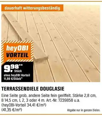 OBI TERRASSENDIELE DOUGLASIE Angebot