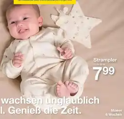 Zeeman Strampler Angebot