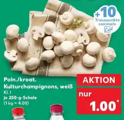 Kaufland Poln./kroat. Kulturchampignons, weiß Angebot