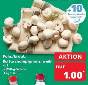 Kaufland Poln./kroat. Kulturchampignons, weiß Angebot