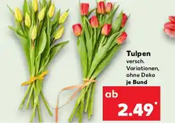 Kaufland Tulpen Angebot