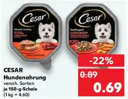 Kaufland CESAR Hundenahrung Angebot