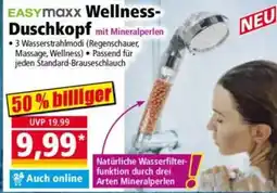 Norma EASYmaxx Wellness- Duschkopf Angebot