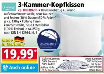 Norma ORTHO-Vital 3-Kammer-Kopfkissen Angebot